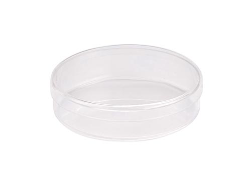 Small Plastic Petri Dish