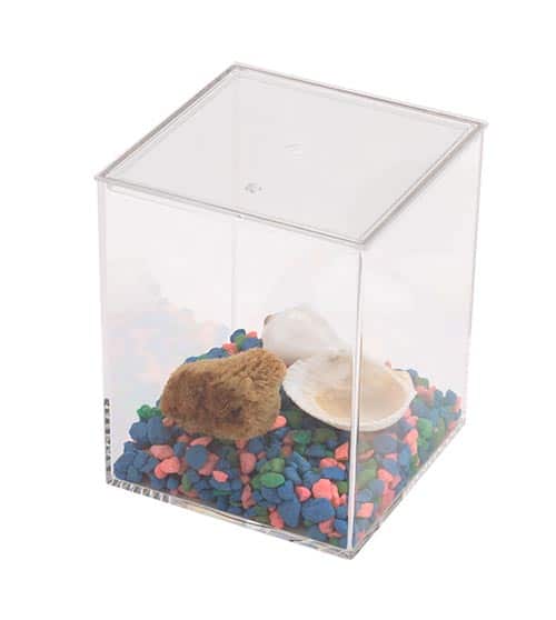 Plastic Aquarium