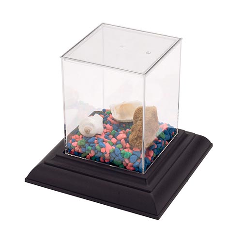 Plastic Aquarium w/ Base