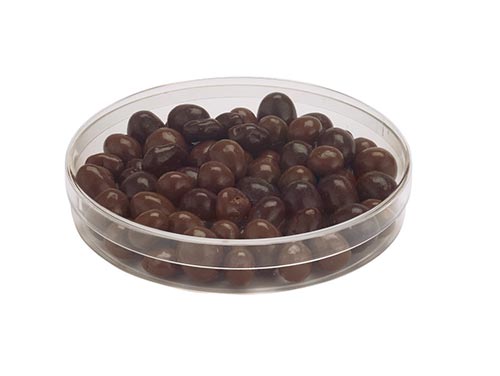 Wholesale Round Plastic Container - 6″ x 1″ - 170C