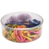 Large Round Plastic Container
