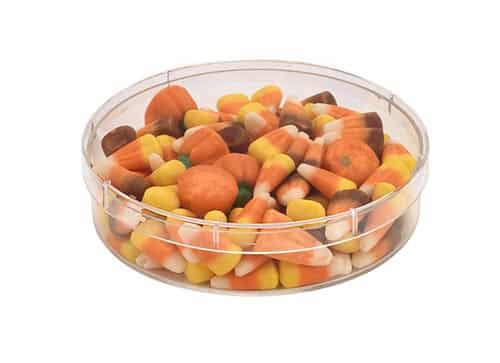 Plastic Semi Circle Container - 4-5/16 x 2-1/2 x 7/8″ - 054C