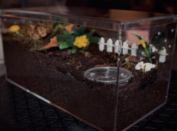 photo of 083CAQUA set up as a tarantula enclosure with substrate and tank decor