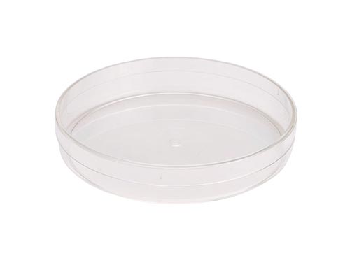  Pioneer Plastics 240C Clear Large Round Plastic Container, 8 W  x 3 H, Pack of 2 : Industrial & Scientific