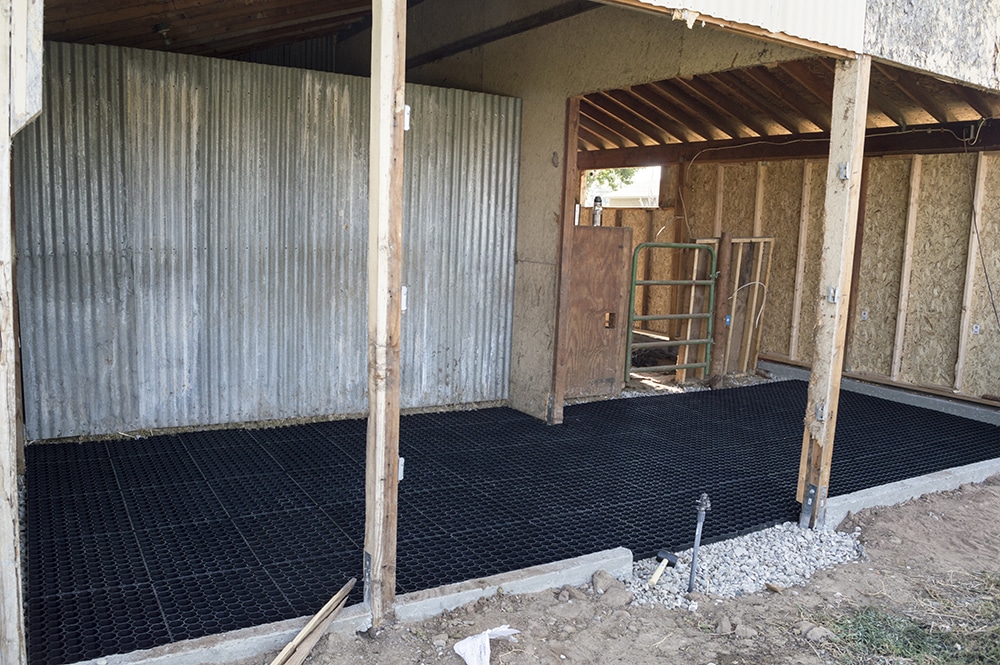 Horse paddock grids in a stall area