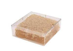 Natural honeycomb in a clear container, perfect for beekeeping and culinary uses.