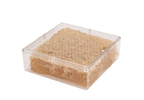Natural honeycomb in a clear container, perfect for beekeeping and culinary uses.