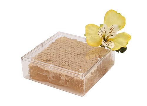 Natural honeycomb in a clear box topped with a vibrant yellow flower.